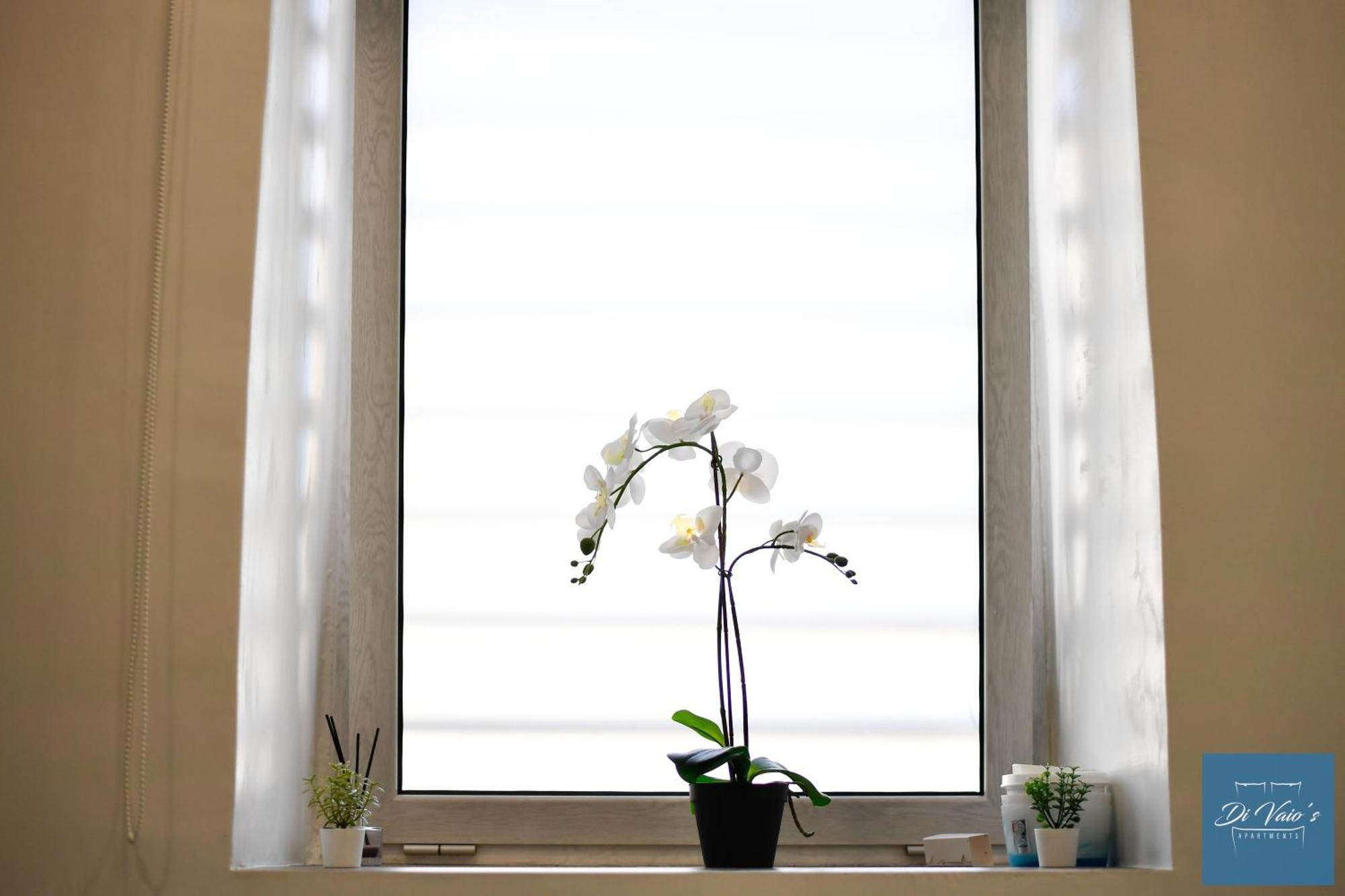 Di Vaio'S Apartments نابولي المظهر الخارجي الصورة